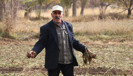 Erzincan Şeker Fabrikası yarım asırdır ayakta