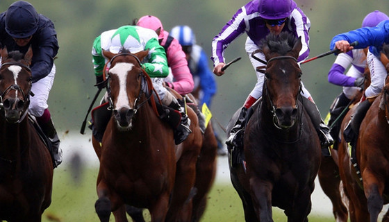 AT YARIŞLARI DA ÖZELLEŞİYOR!