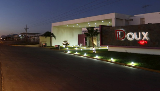 Fransız tavuk devi iflas etti