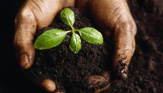 BES'in büyüklüğü 80 milyar lirayı aştı