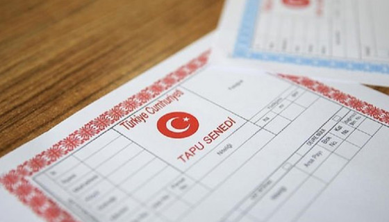 Değerini devlet belirleyecek