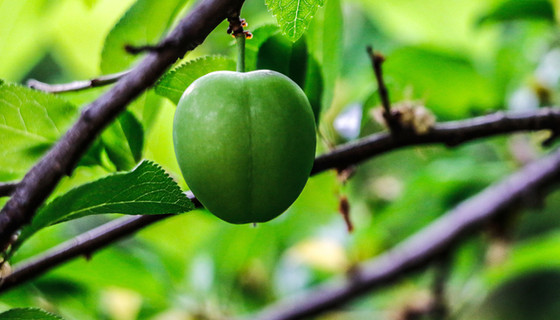 Fiyatı 500 TL'den 200 TL'ye düştü
