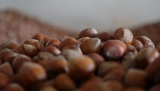 Fındık ihracatında hedef 290 bin ton