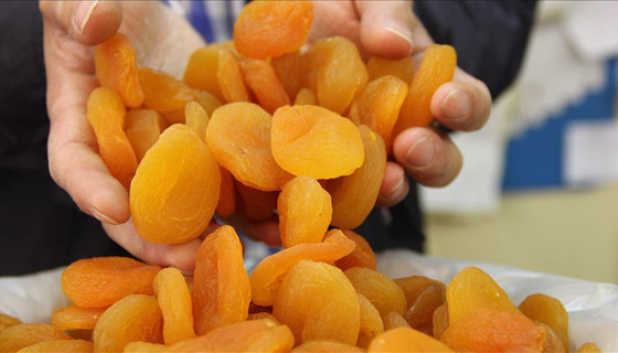 Malatya'dan 168 milyon dolarlık kuru kayısı ihracatı