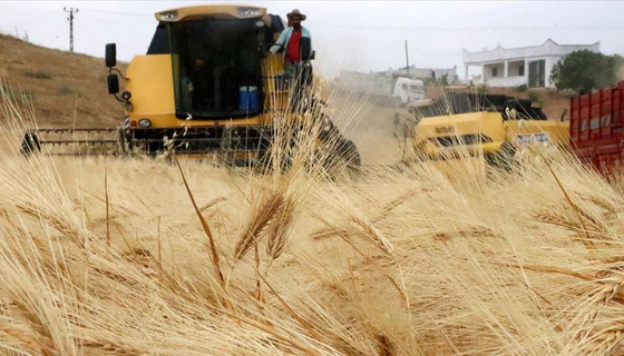Deprem bölgesinde hasat uyarısı