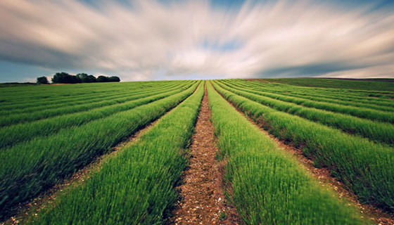 Tarım ve kırsal kalkınmaya büyük destek