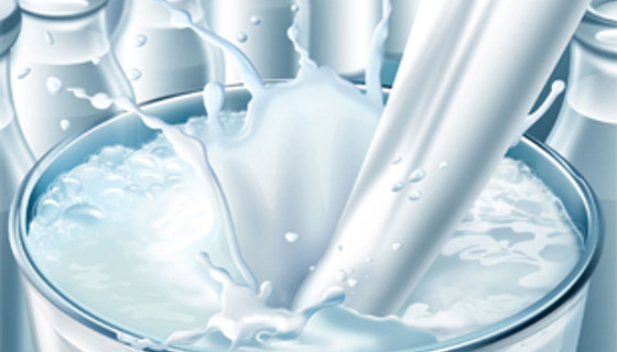 Okul sütünü hangi firmalar dağıtacak?