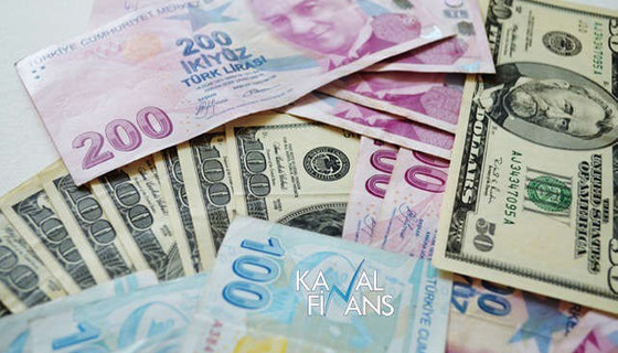 TL kayıpları telafi eder mi?