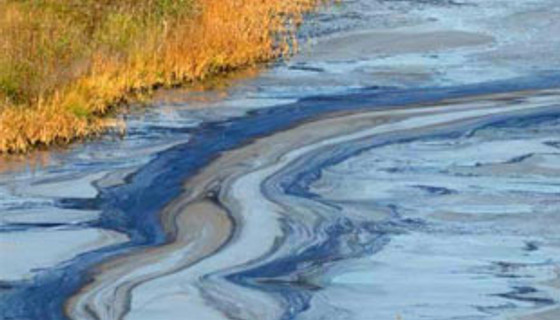 Türkiye petrolü süngerle emecek!