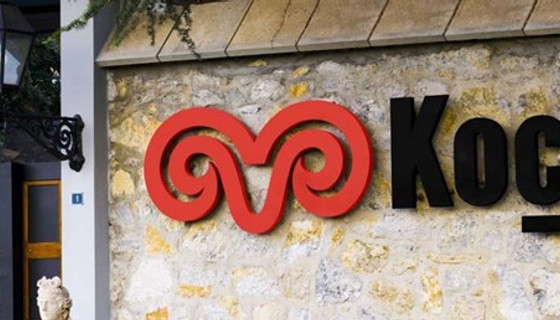 Koç Holding'e 79 milyonluk vergi cezası
