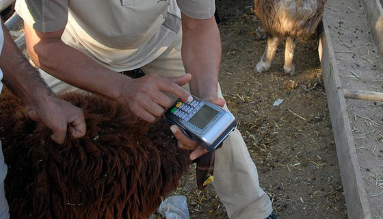 Krediyle kurban kesilebilir mi?