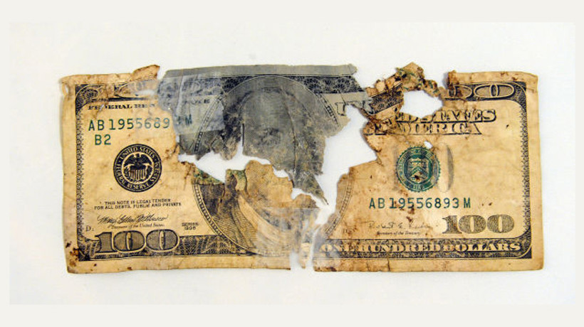 Köpeğin yediği 500 doları Hazine ödedi!