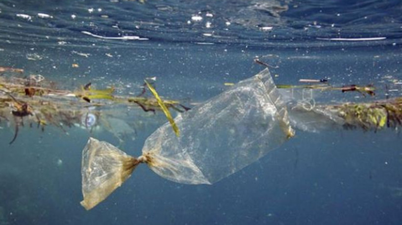 Denizi kirletene rekor ceza!