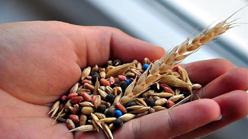 Tohum ihracatı ve üretiminde rekor