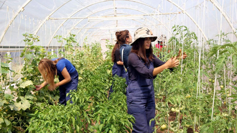 Genç çiftçilere 30 bin