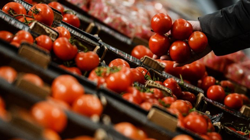 Rusya'dan domatese yeşil ışık