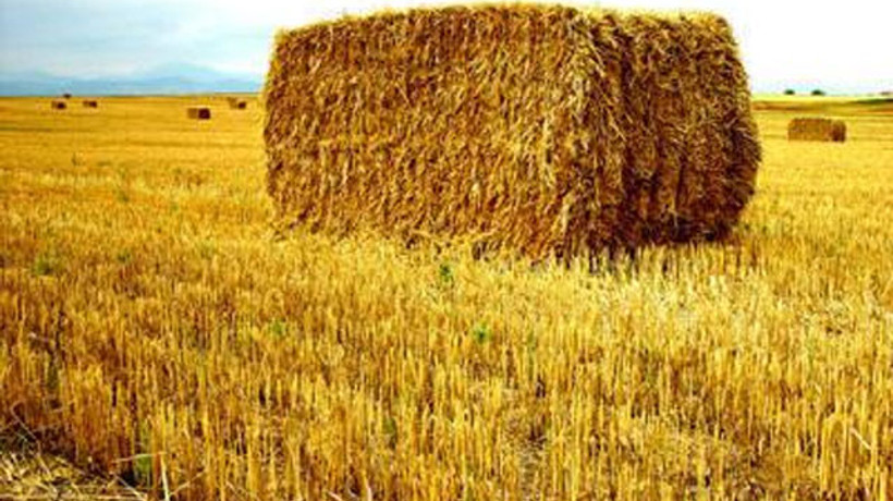 Samanlık seyran olmadı!