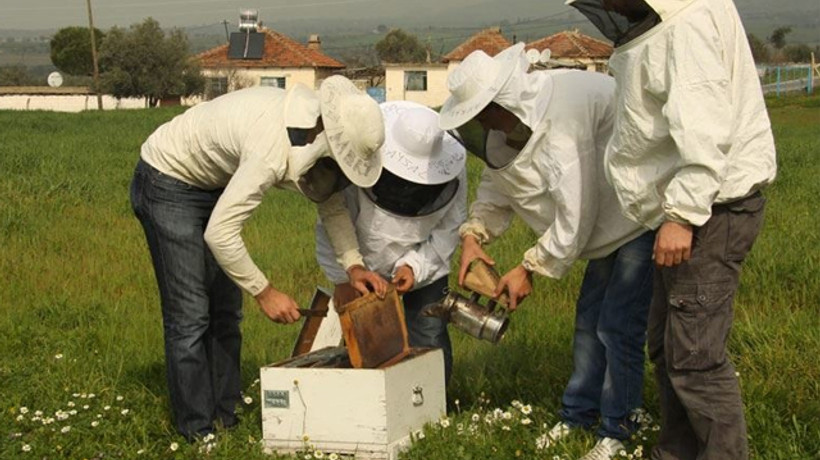 2 ayda 100 bin lira kazanç