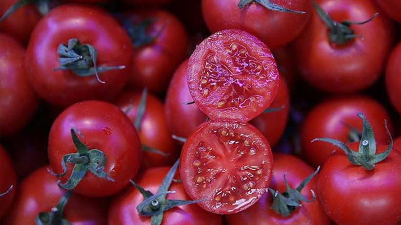Japonlar Türk domates suyunu sevdi