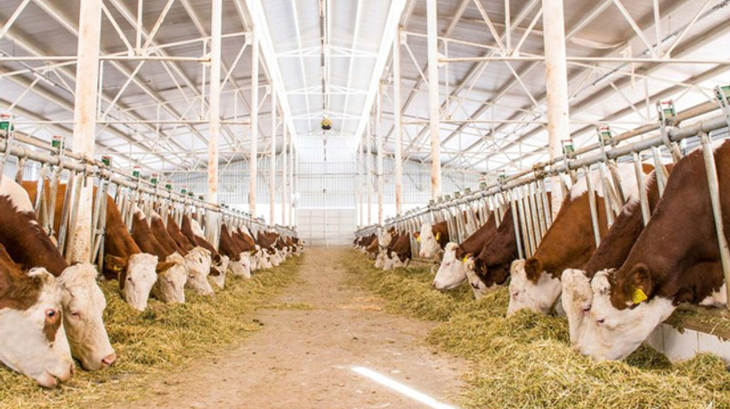Tarım ve hayvancılık girişimcisine devletten 1.5 milyar lira hibe