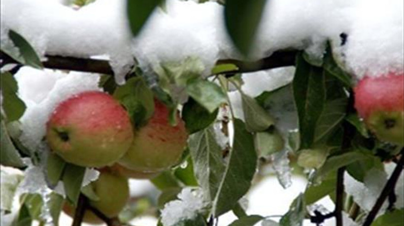 İstanbullulara müjde!