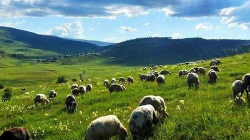 Müjde! Halkın hizmetine açılıyor