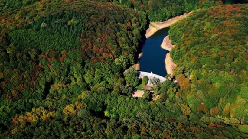 İstanbul'a dev kent ormanı kuruluyor