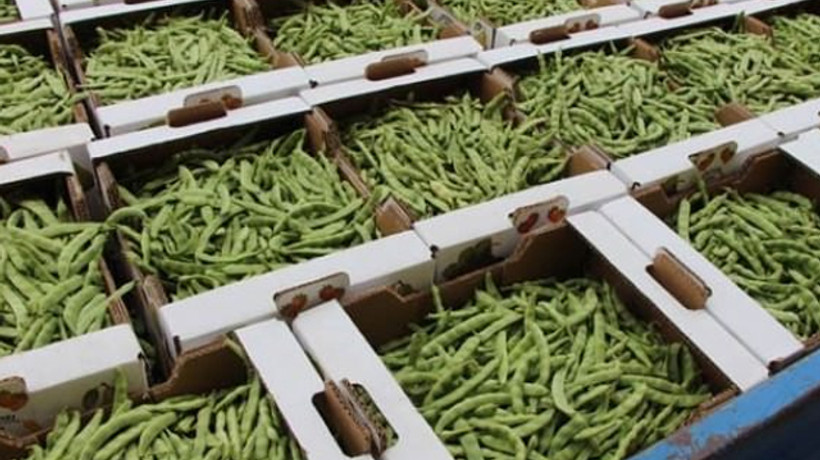 Fasulyenin 4 kilosu 360 bin liraya satıldı!