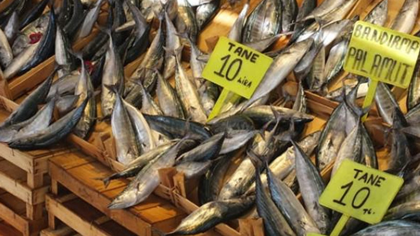 Tanesi 10 liraya düştü