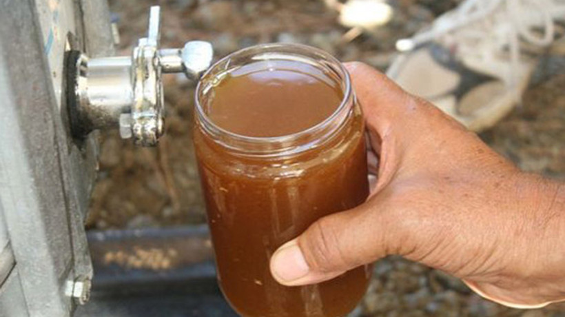 Çam balında iyi başlayan hasat üreticiyi mutlu etti