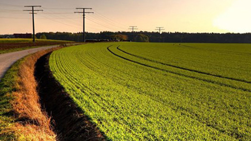 Hazineye ait tarım arazilerine yoğun talep