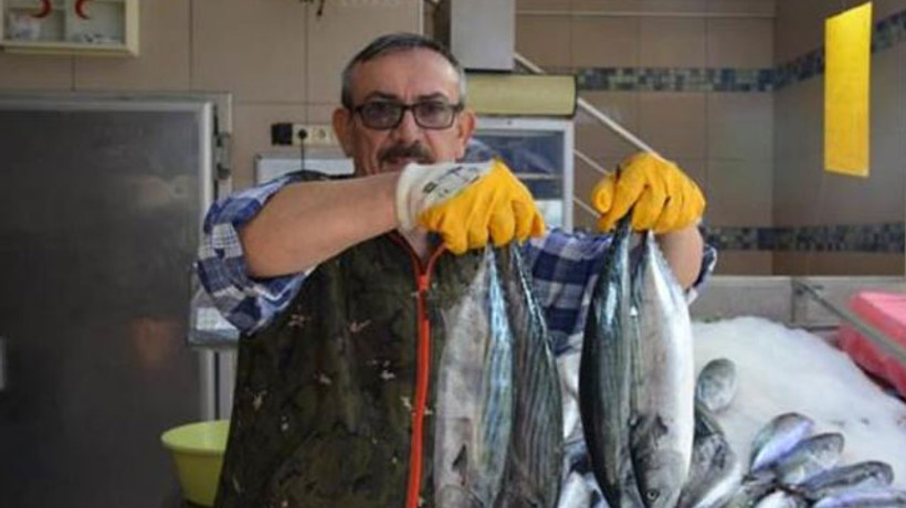 Palamutun tanesi 5 liraya geriledi!