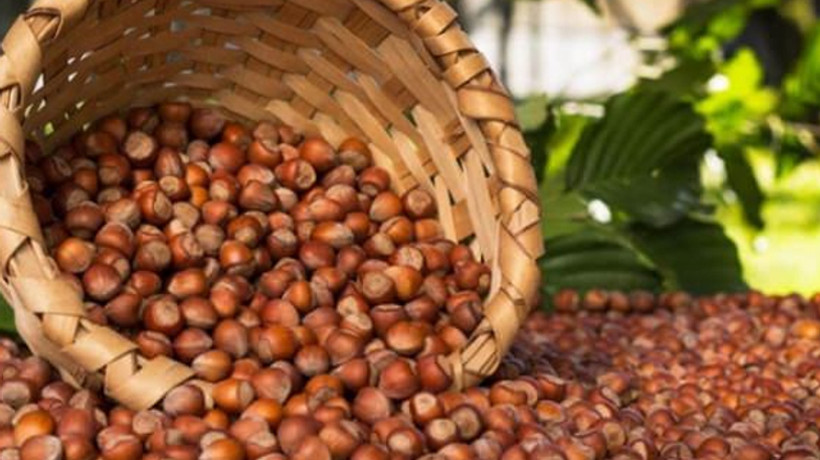 10 yılda 18 milyar dolar kazandırdı!