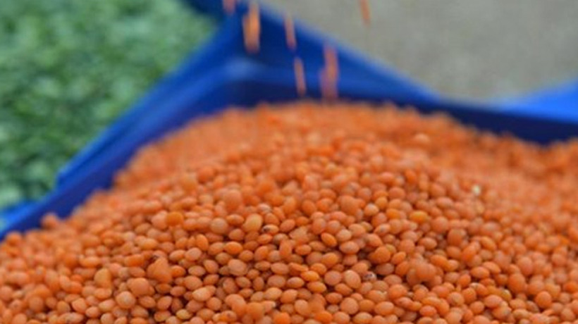 Tanzimdeki bakliyat satış fiyatları belli oldu