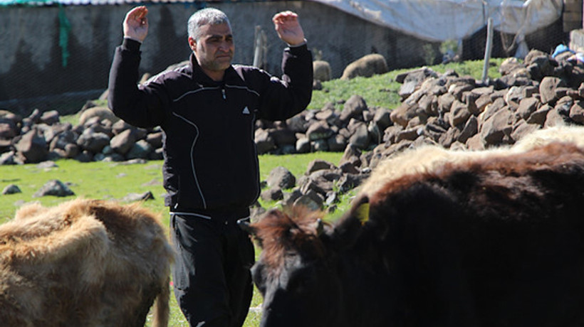 Cezaevinden çıktı, destek alıp hayvancılık yapmaya başladı
