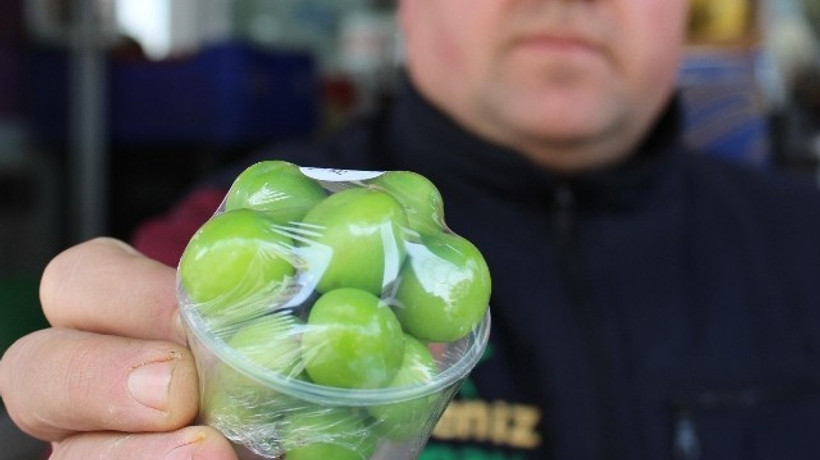 500 liralık erik çağlasının fiyatı dudak uçuklatıyor