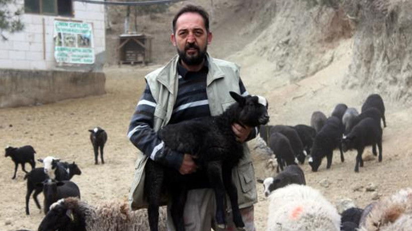 Almak isteyen 4 ay önceden sıraya giriyor! Sahibini zengin ediyor