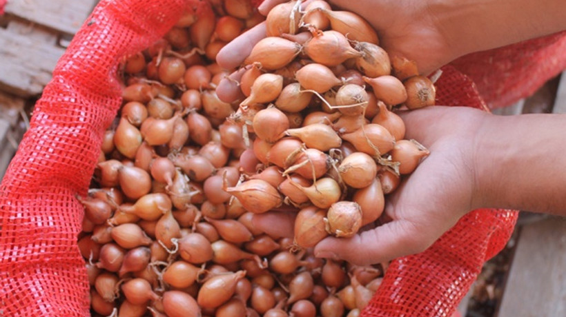 Kuru soğanda sıfır gümrük vergisinin süresi uzatıldı