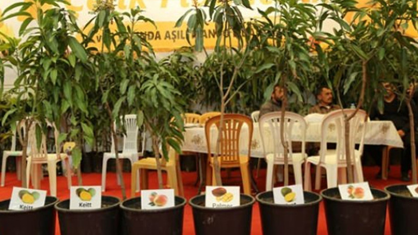 Tanesi 30 lira! Kapış kapış satılıyor...