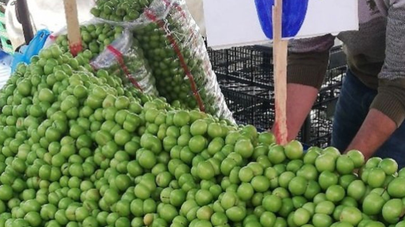 Kilosu 500 liradan 5 liraya düştü