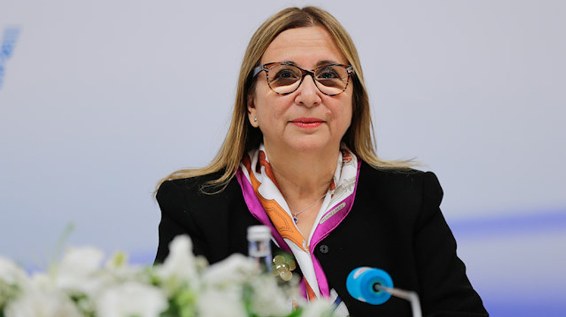 Bakan Pekcan: 15 Temmuz'dan sonra 210 bin 544 şirket kuruldu