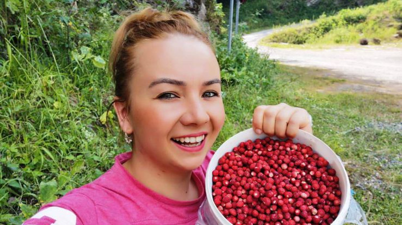 Yılda sadece 1 ay toplanıyor: Bu çileğin kilosu 120 lira