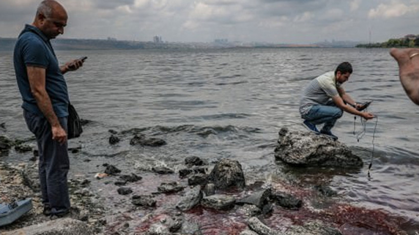 Bakanlıktan balık ölümleri açıklaması