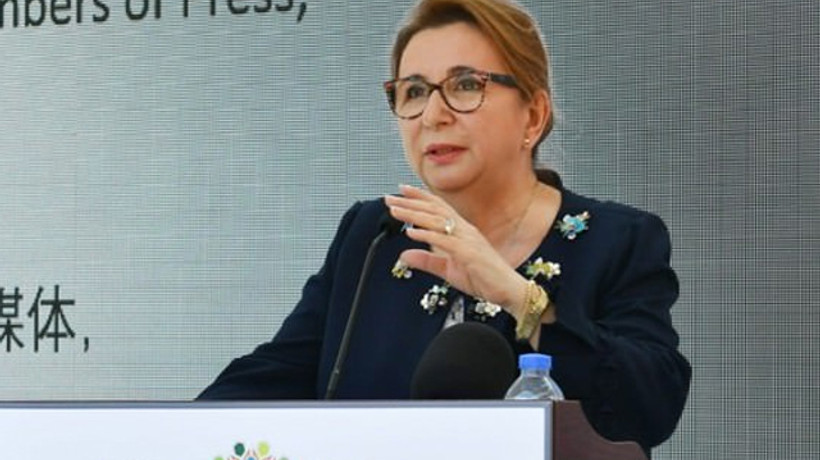 Türk kirazına Çin kapıları yeniden açıldı