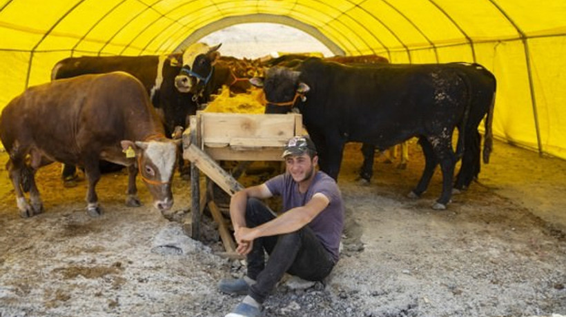 Kurban satışları başladı