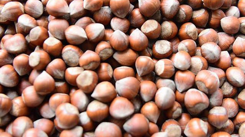 TMO'dan fındık alım açıklaması