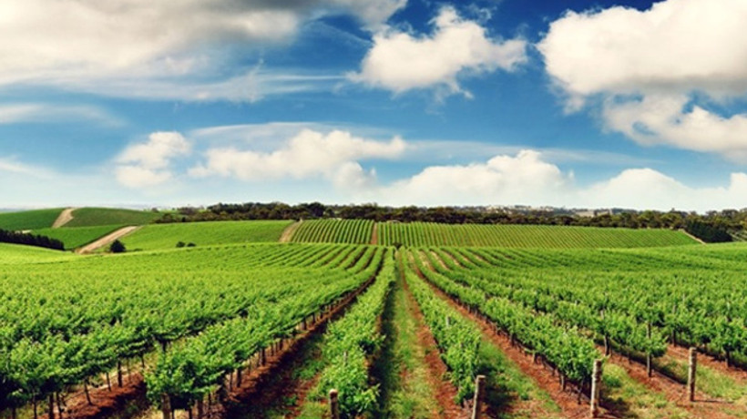 Çiftçilere özel hava durumu