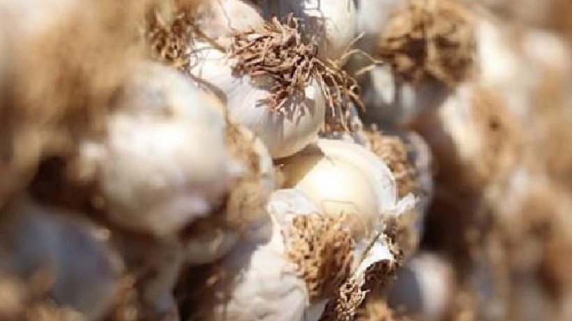 Fiyatı düşmeye başladı