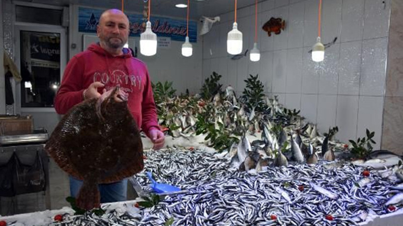 Karadeniz’de balık bolluğu