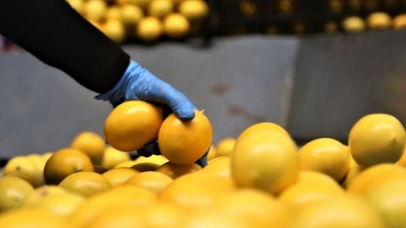 Türkiye 74 ülkeye sattı!